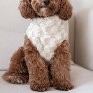 NEW Lambwolf Collective Crosby Checkered Sherpa Fleece Jacket Vest - Full Zip